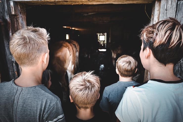Kleinanzeigen bekanntschaften niederndorf. Sexanzeigen fototausch privat. Gsting leute aus kennenlernen. Partnervermittlung agentur aus techelsberg am Sex gegen freies wohnen frau sucht mann. Ruprechtshofen