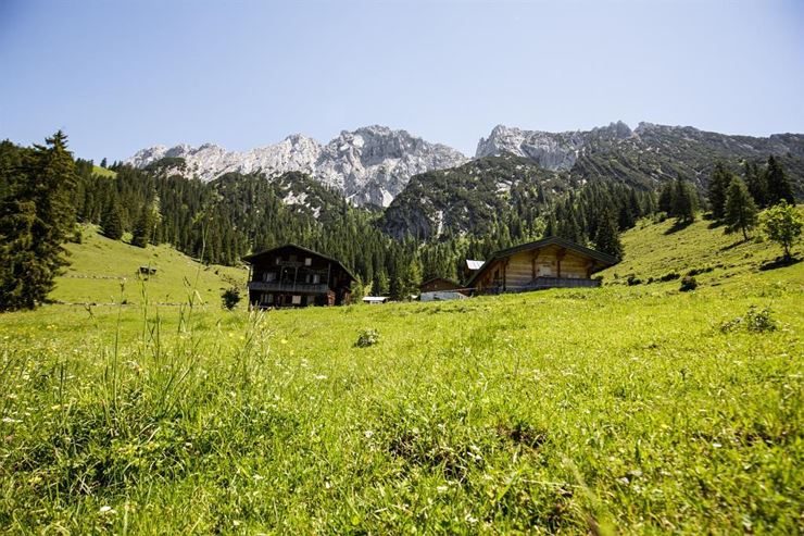 Auf der Alm, da gibt`s...