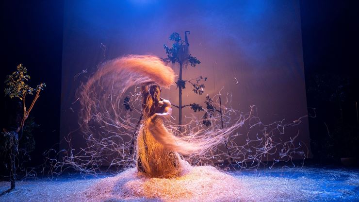 Circustage L´Ancrage