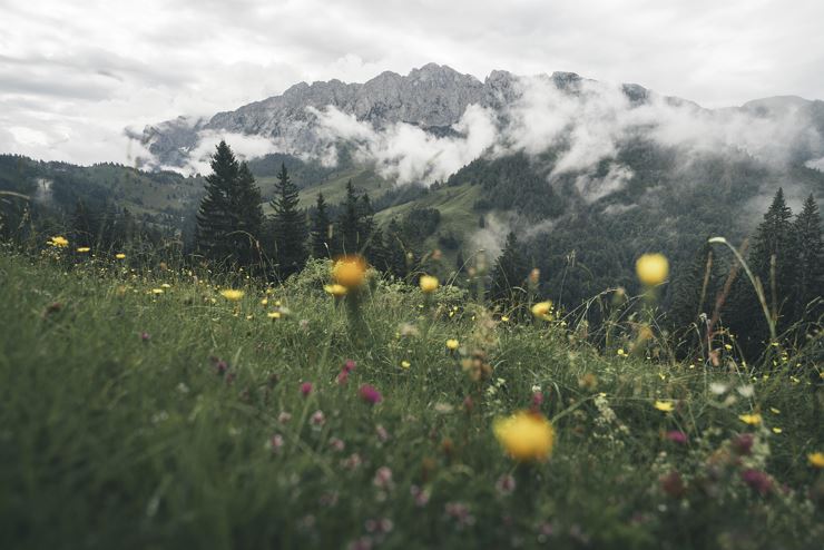 Naturerlebnis Kaisergebirge