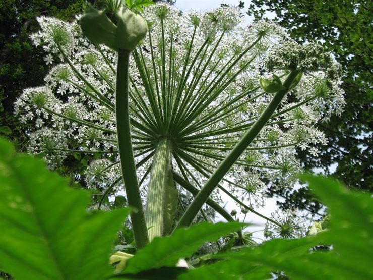 Natur im Visier