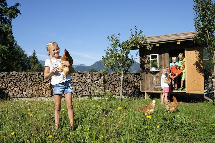 Kinderprogramm Bauernhof