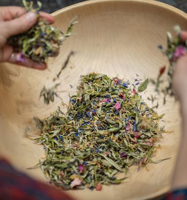 Herbal meeting with Maria Bachmann