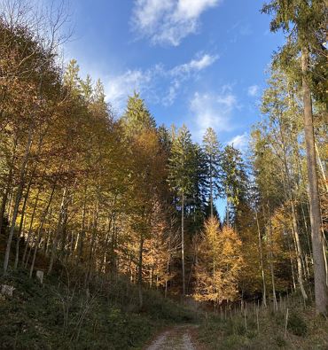 Walk & Talk – exercise meets nutritional advice