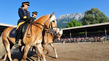 Haflinger Weltausstellung - Ebbs