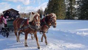 Winterliche Kutschenfahrt in Ebbs - Ebbs