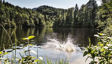 Four Lakes Hike - Kufstein