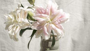 Pfrillsee & Friends - Flowerpower - Kufstein