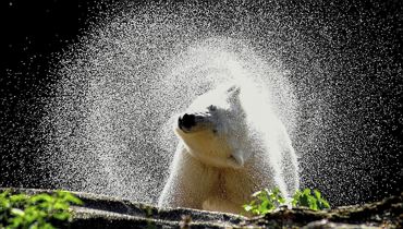 TEXT.WERKSTATT für junge AutorInnen von 8-16 Jahren - Kufstein