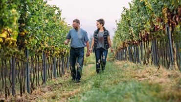 Weinverkostung mit Weingut Diem