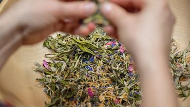 Kräuterpower macht winterfit - Schwoich - Schwoich