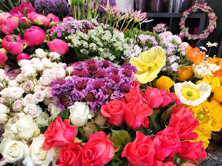 Blumen Blütenzone Kufstein