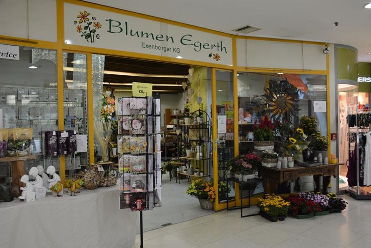 Blumen Egerth Kufstein Außenansicht