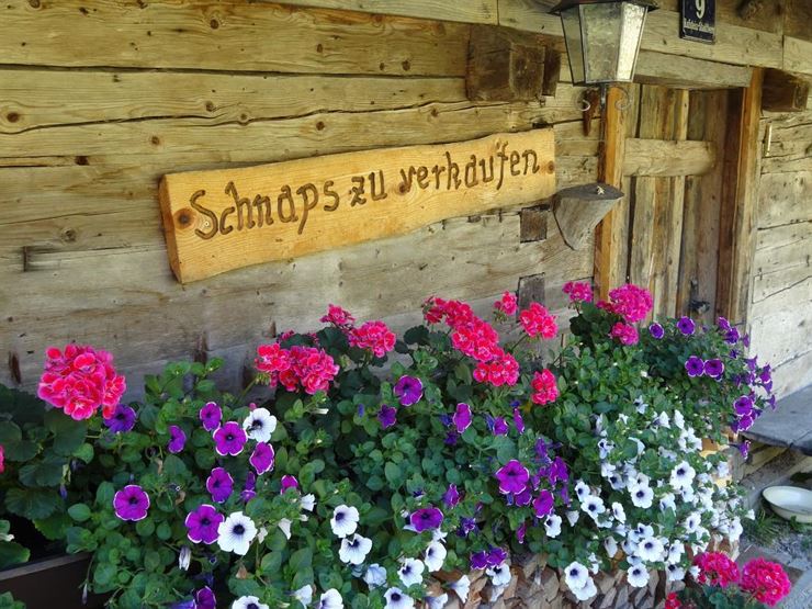 Brentenjochalm Ansicht