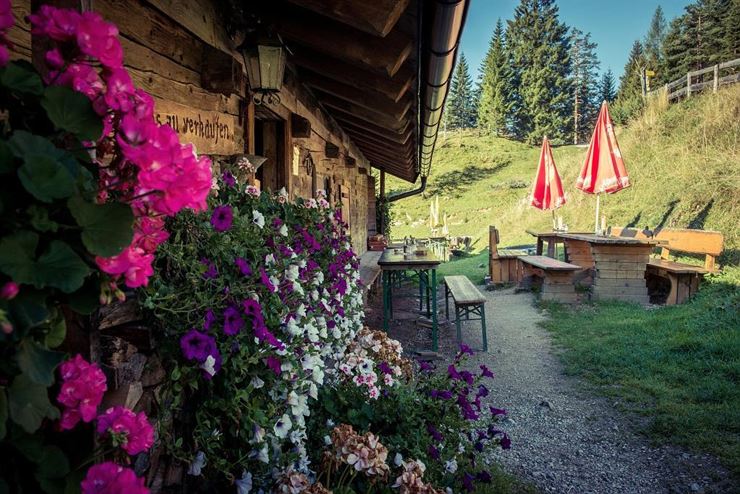 Brentenjochalm Terrasse