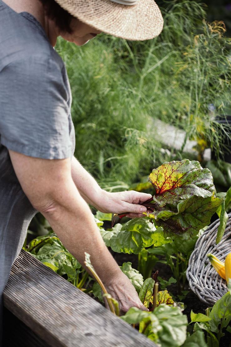 Viktorias Home Kufstein Garten
