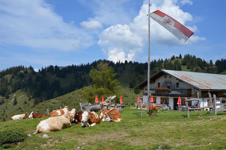 Obere Steinbergalm Kufstein