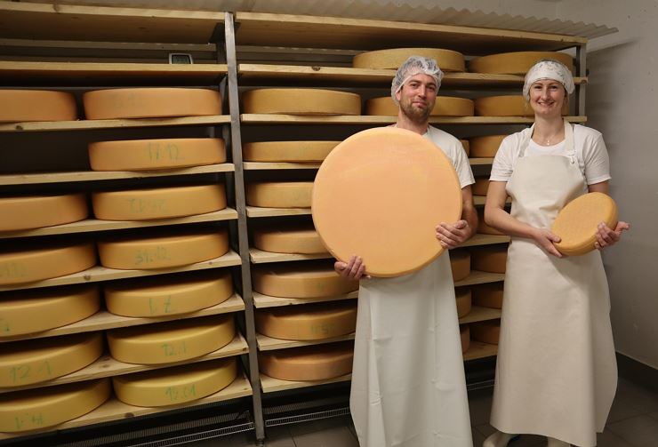 Mitterthrey Erbhof 4