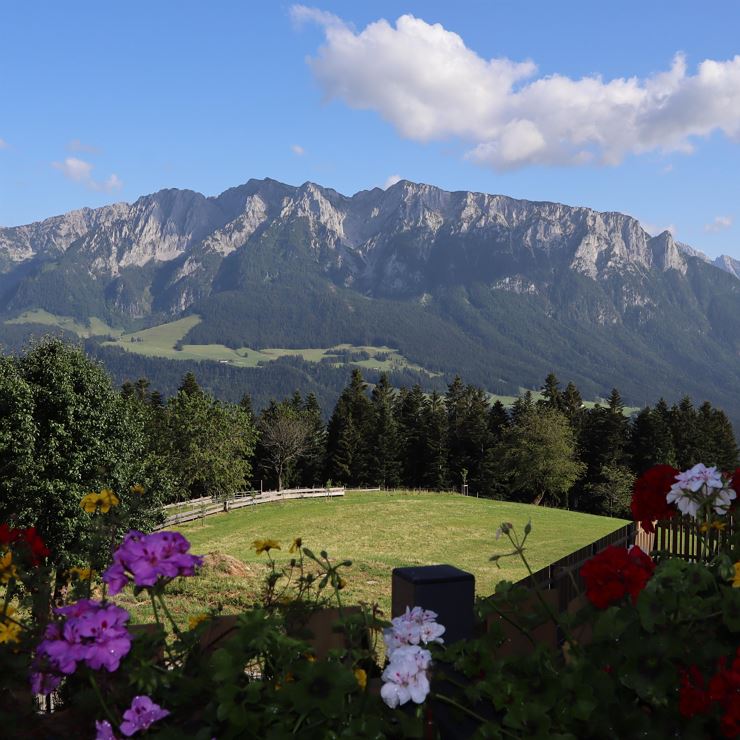 Aussicht Zahmer Kaiser