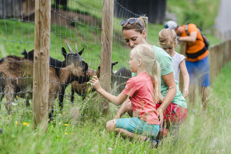 Bergbahn Hocheck Ziegen