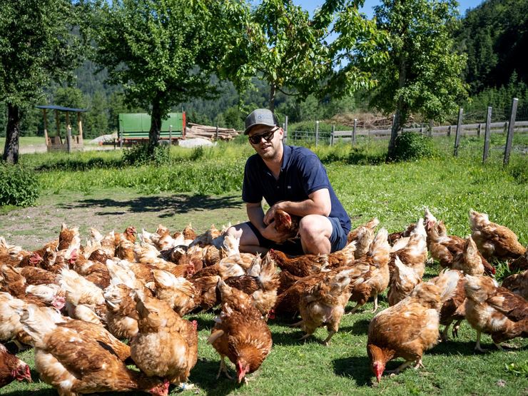 Hühner Lindhof Thiersee