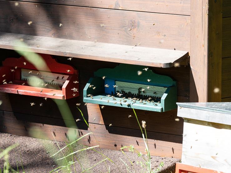 Lindhof Thiersee Bienenstock