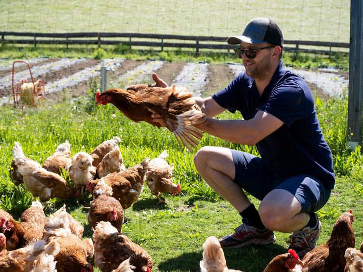Lindhof Thiersee Hühner freilaufend