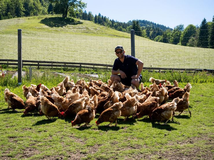 Lindhof Thiersee Hühnergehege
