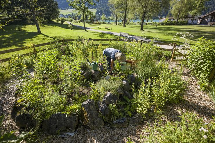 Kräuterspirale Thiersee1