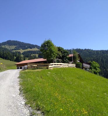 Stoana Alm