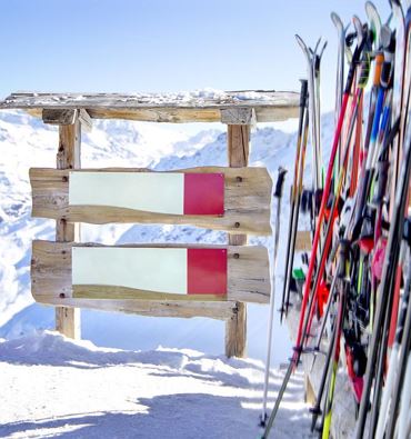 GoingSport Filiale Attività principale