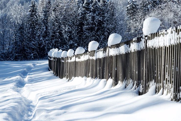 Escursione invernale con vista su Scheffauer