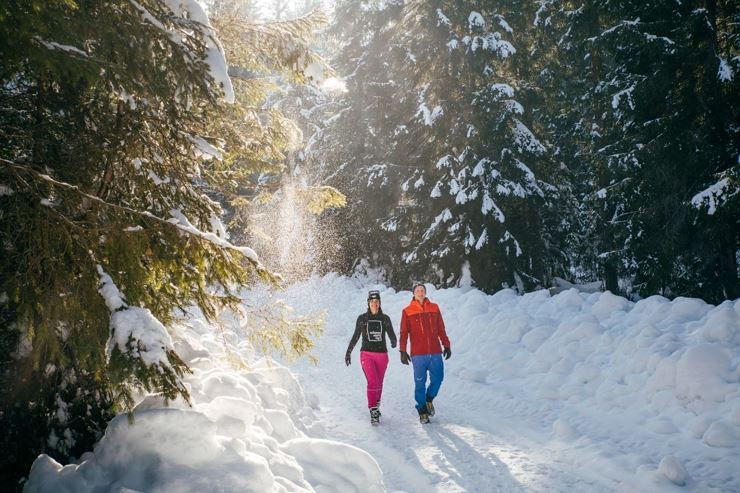 Winterrundweg über das ehemalige Gasthaus Wachtl