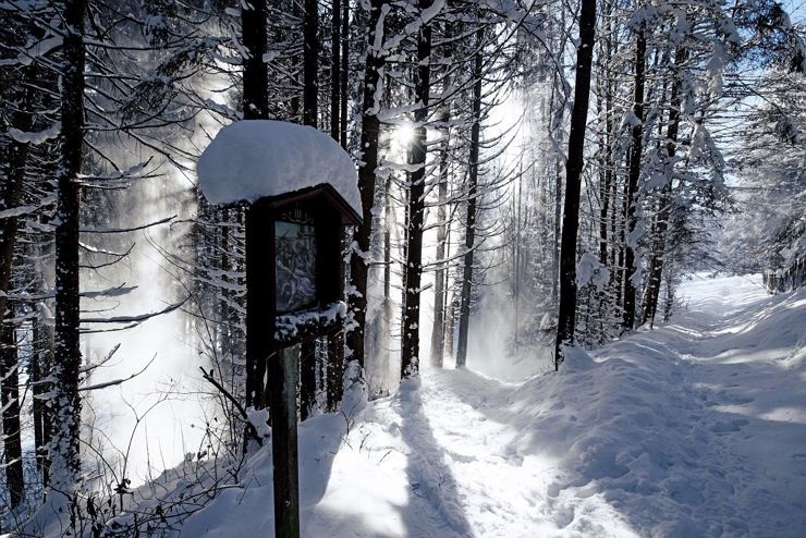 Passeggiata invernale nei dintorni di Niederndorf