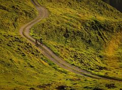 300 | Giro dell'Alpe di Aschinger