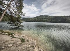 346 | Thierberg-Runde COPY