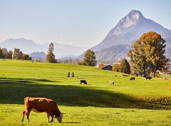 A1 - Genussradeln bis zum Walchsee