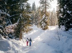 Aschenbrenner Winterwanderung