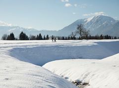 BH3 Sprint cross-country ski trail