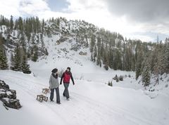 Pista da slittino naturale Kala Alm