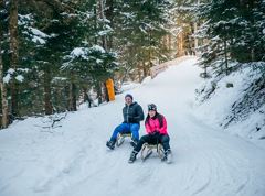 Natural toboggan run Wieshof