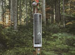 Sagenwegstation - Die Krapfenpeaschteln