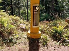 Sagenwegstation - Die Waldfrau