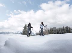 Escursione con le racchette da neve Vorderthiersee