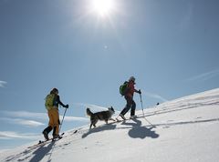 Skitourengebiet Brünnstein