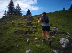 Trail Quickie sul Veitsberg