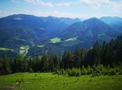 Across the meadow slopes of the Semmelkopf
