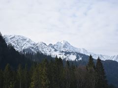 Ursprungweg - Kurze Etappe 4 Riedenberg