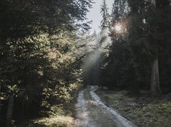 Wanderung zur Hochwacht Kufstein