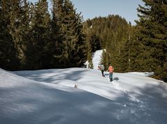 Schneeschuhwanderung zur Altkaser Alm